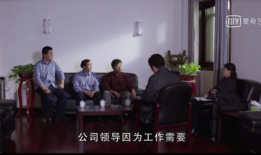 国家审计电视剧