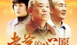 爸爸的电视剧,温情岁月里的家庭故事