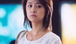 林心如电视剧男才女貌