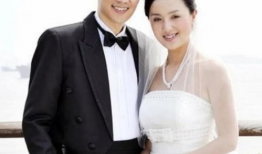 辛柏青的电视剧,演绎人生百态，电视剧中的情感大师