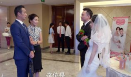 刘涛电视剧金娜,传奇女警的正义之路