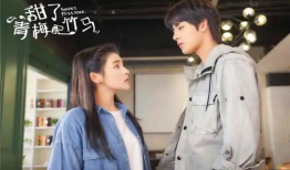 姐弟电视剧,跨越时光的亲情纽带